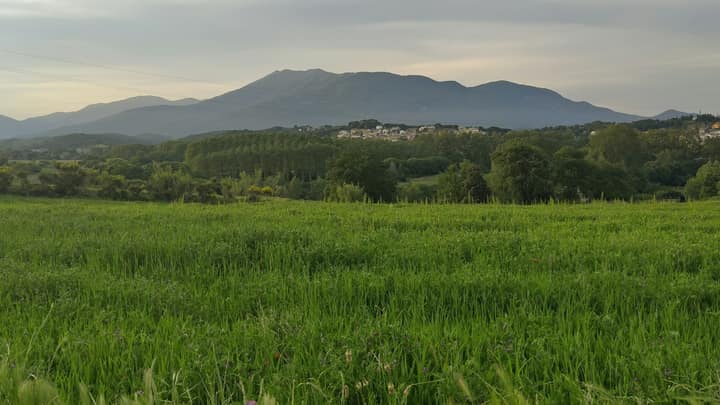 El massís del Montseny, amb un poble al peu, vist des d’un camp d’herba del Vallès
